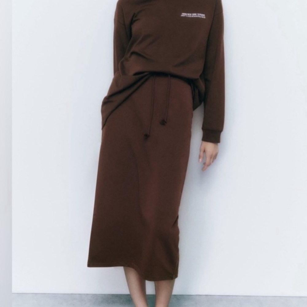 Zara Brown Pencil Skirt